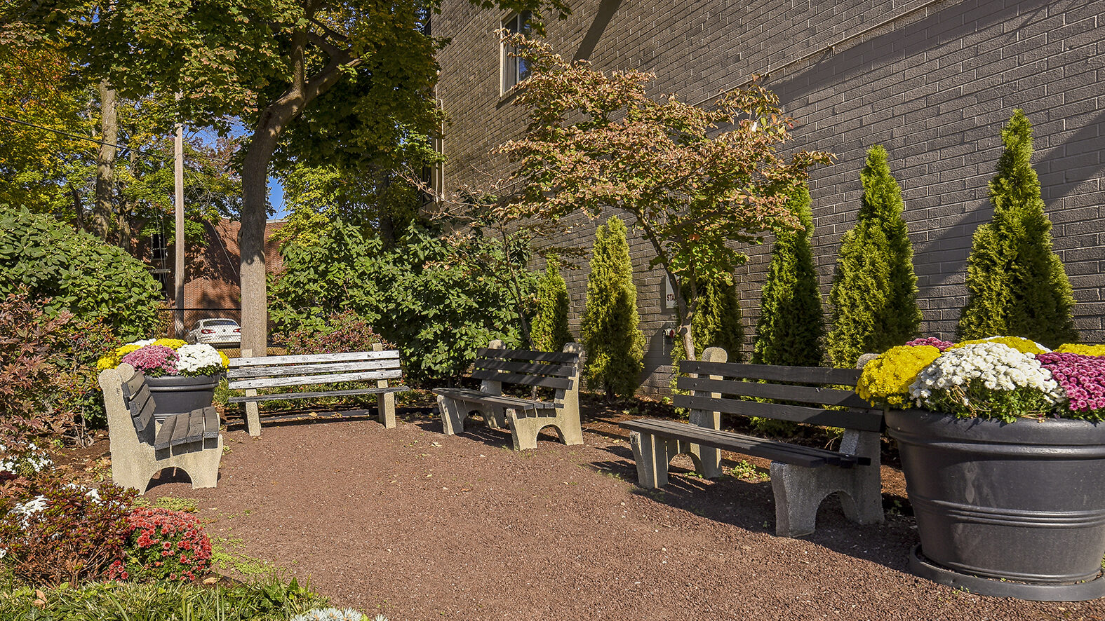 Green space with benches and flowers